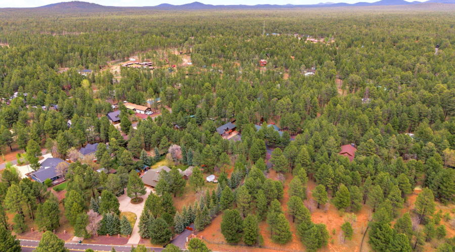 5353BrandingIronLoop-Pinetop-AZ-74