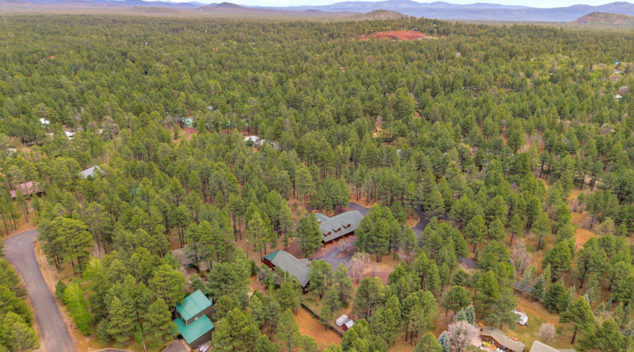 5353BrandingIronLoop-Pinetop-AZ-76