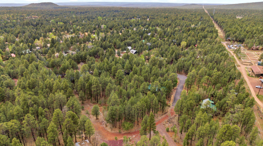 5353BrandingIronLoop-Pinetop-AZ-77