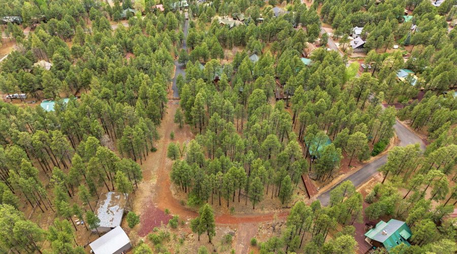 5353BrandingIronLoop-Pinetop-AZ-78