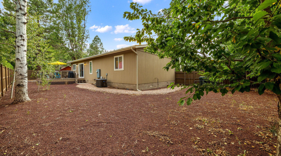 5145DriftingSnowLoop-Pinetop-AZ-38