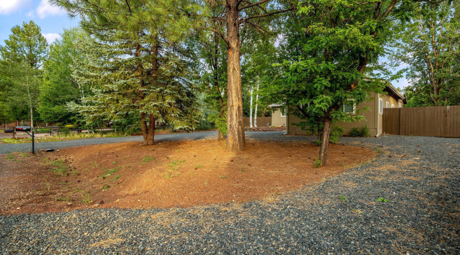 5145DriftingSnowLoop-Pinetop-AZ-8