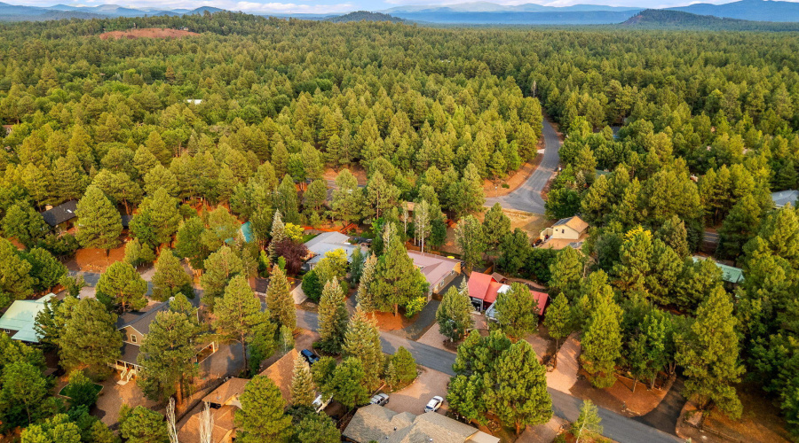 5145DriftingSnowLoop-Pinetop-AZ-42