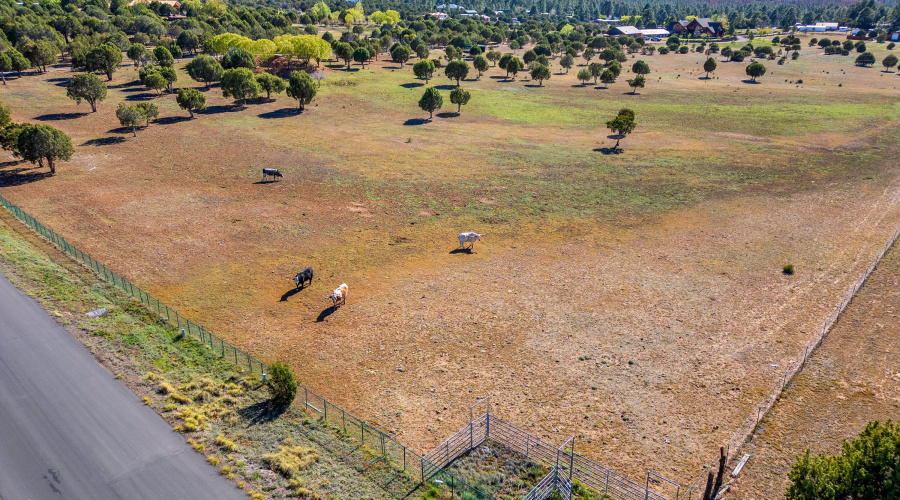 1600N16thAve-ShowLow-AZ-56