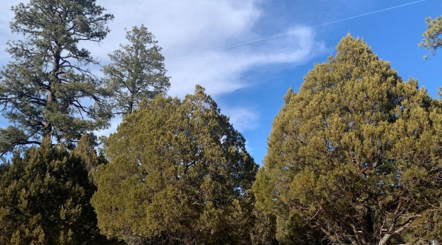 Cool Mtn Air