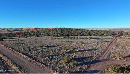 TBD Arena Estates, Taylor, Arizona 85939, ,Land,For Sale,Arena,259168