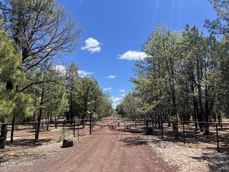 1321 Woodland Road, Lakeside, Arizona 85929, ,Land,For Sale,Woodland,260954