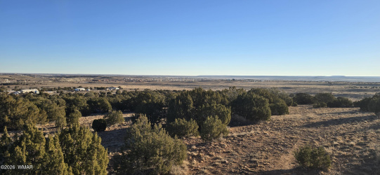 TBD Arena Estates Drive, Taylor, Arizona 85939, ,Land,For Sale,Arena Estates,260671