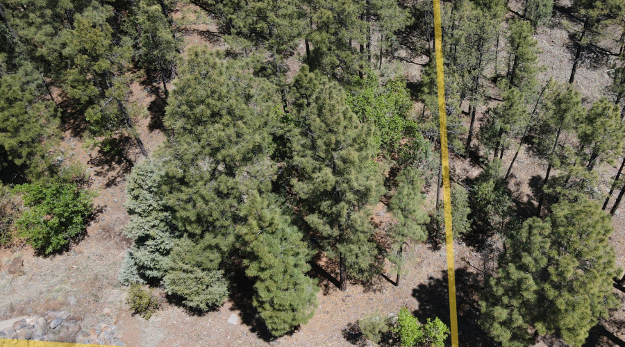 dji_fly_20260506_104958_518_177808981008