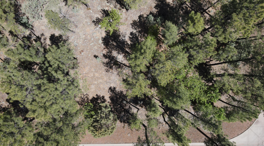 dji_fly_20260506_105058_519_177808987106