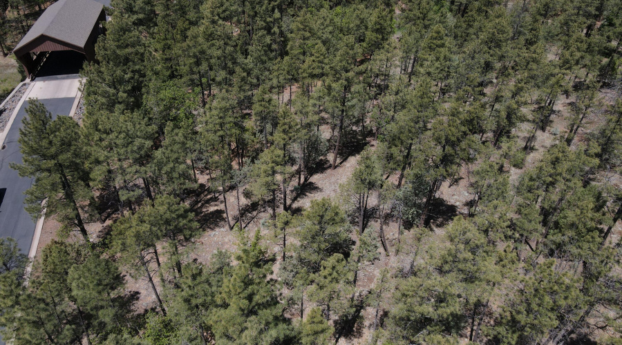 dji_fly_20260506_105624_530_177809019695