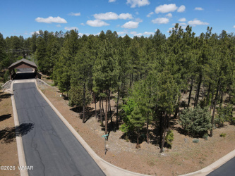 1500 Walnut Creek Trail, Lakeside, Arizona 85929, ,Land,For Sale,Walnut Creek,260976