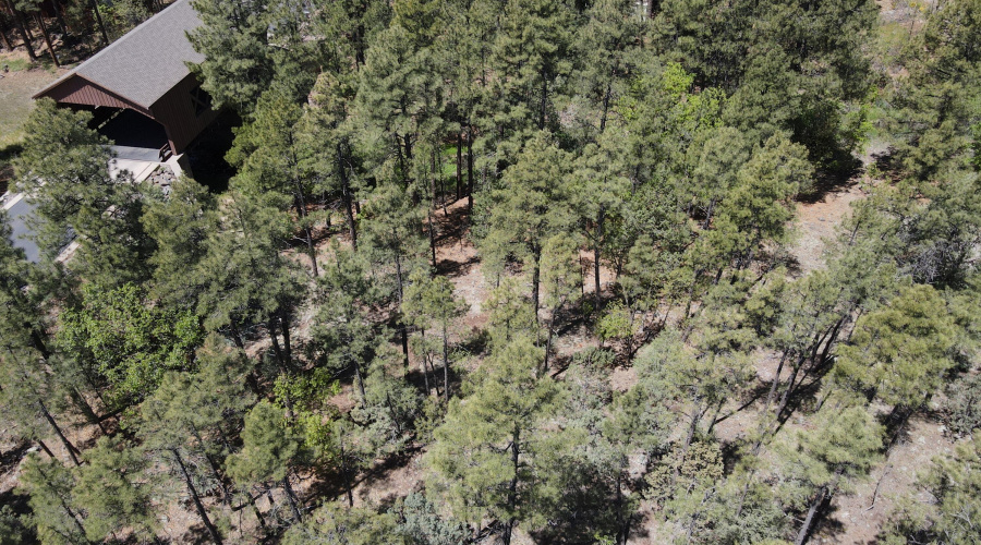 dji_fly_20260506_105152_521_177808992503