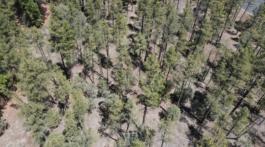 dji_fly_20260506_105216_522_177808994960