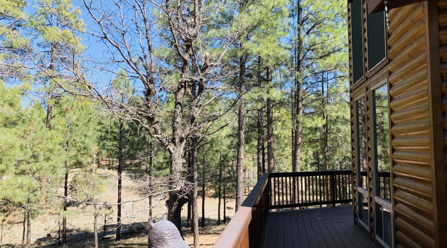 Views in the Trees