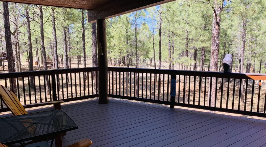 Large Expansive Deck