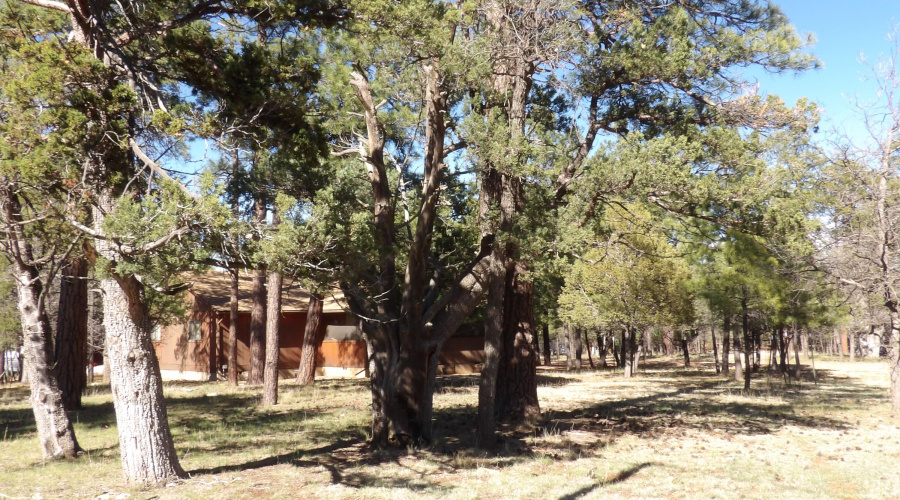 1 Acre