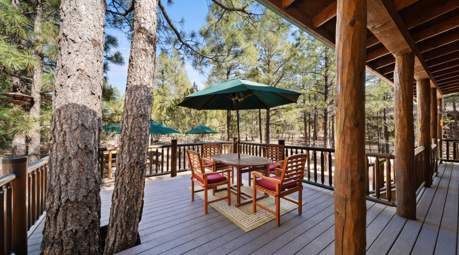 Back Deck