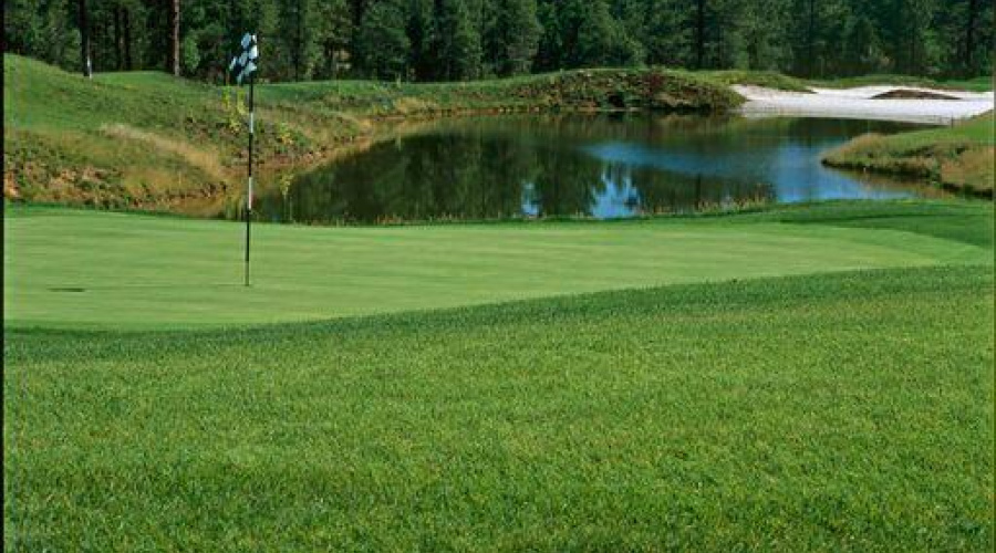 Torreon Golf