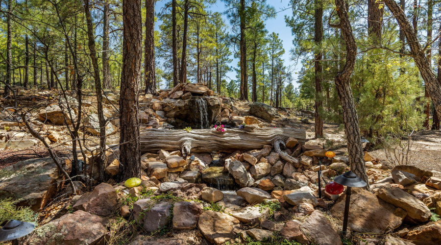 40SCliffRoseLn-ShowLow-AZ-50