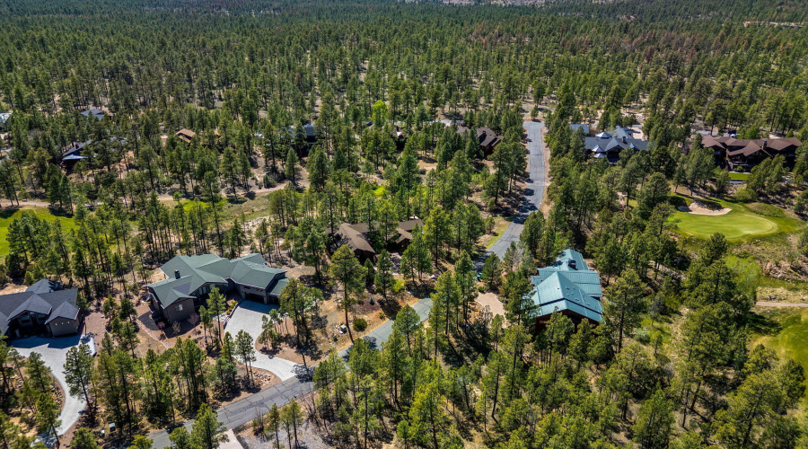 40SCliffRoseLn-ShowLow-AZ-52