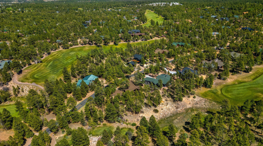 40SCliffRoseLn-ShowLow-AZ-55