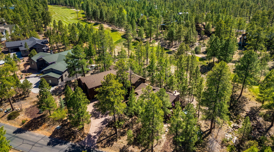 40SCliffRoseLn-ShowLow-AZ-57