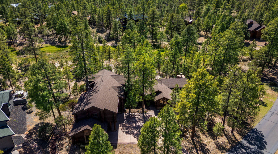 40SCliffRoseLn-ShowLow-AZ-56