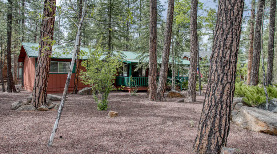 2462 Black Beaver Circle, Pinetop