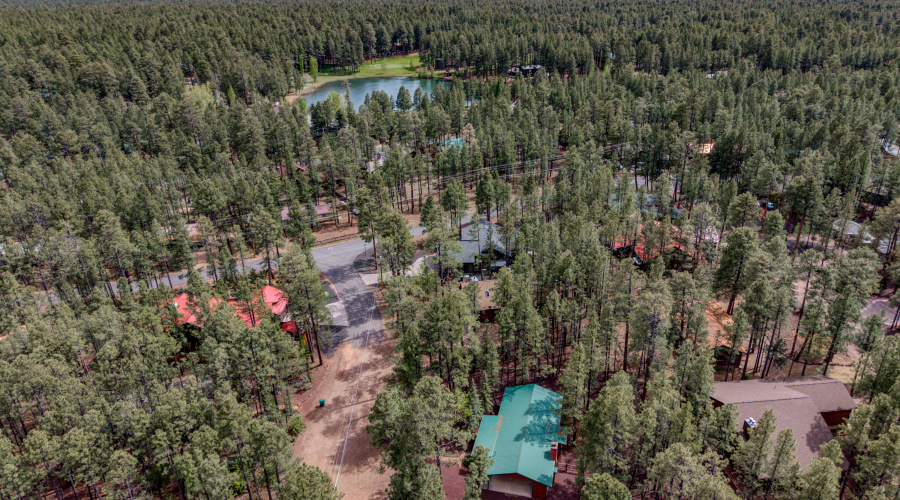2462 Black Beaver Circle, Pinetop
