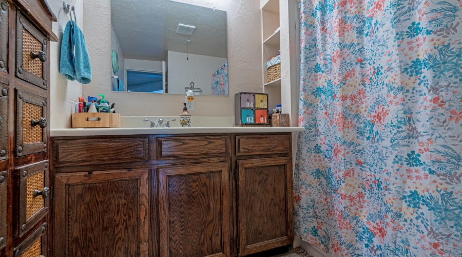 Hall Bathroom