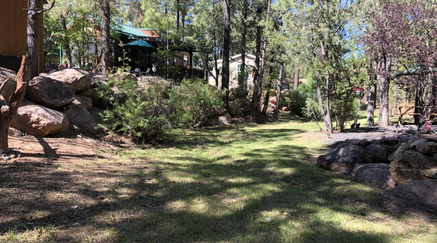 Waite pic26