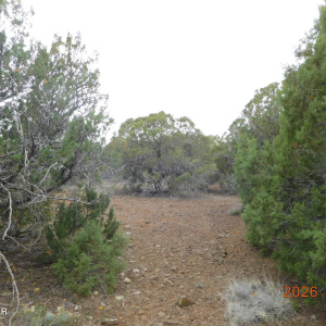 8333 RIDGE DRIVE SHOW LOW, AZ 85901