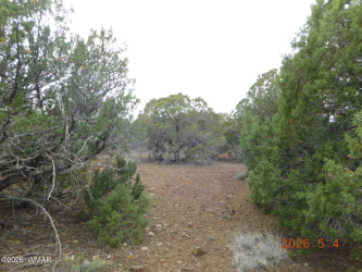 8333 Ridge Drive, Show Low, Arizona 85901, ,Land,For Sale,Ridge,261007