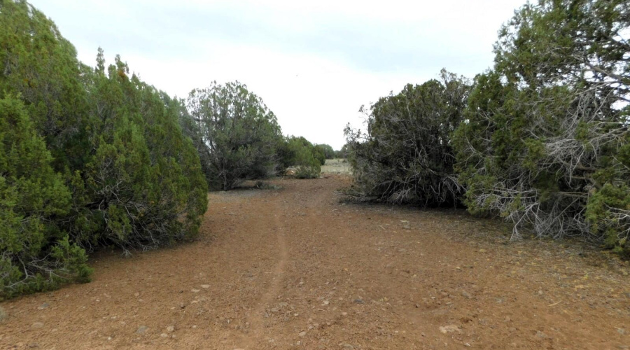 8333 RIDGE DRIVE SHOW LOW, AZ 85901
