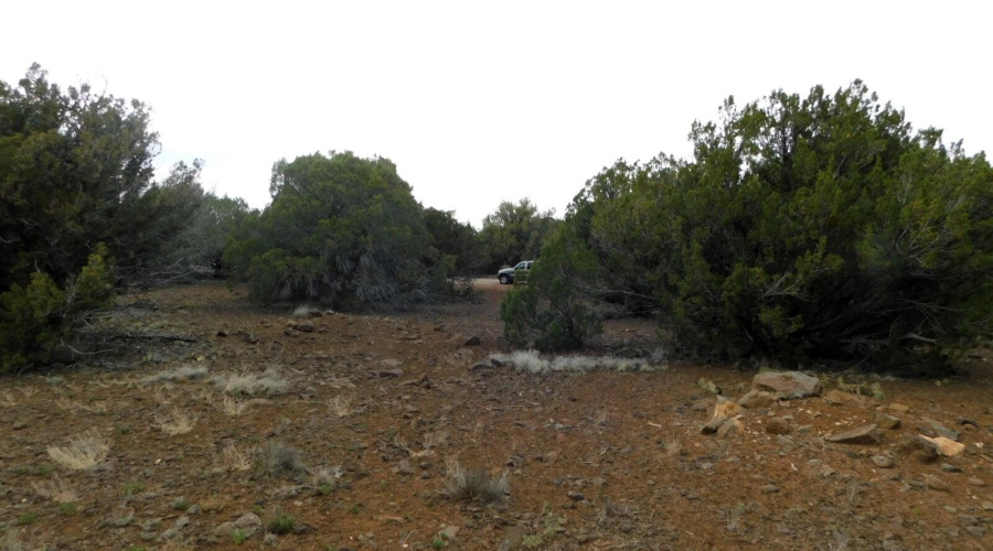 8333 RIDGE DRIVE SHOW LOW, AZ 85901