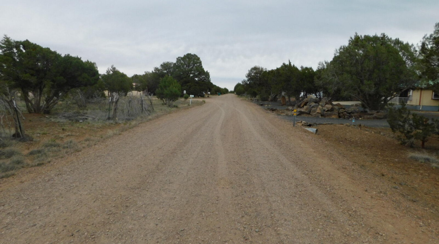 8333 RIDGE DRIVE SHOW LOW, AZ 85901