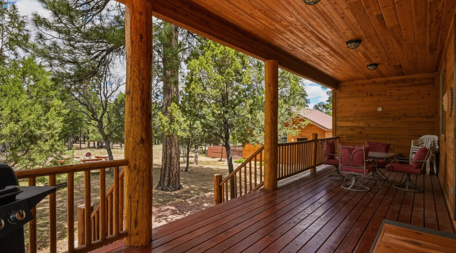 30 Back deck