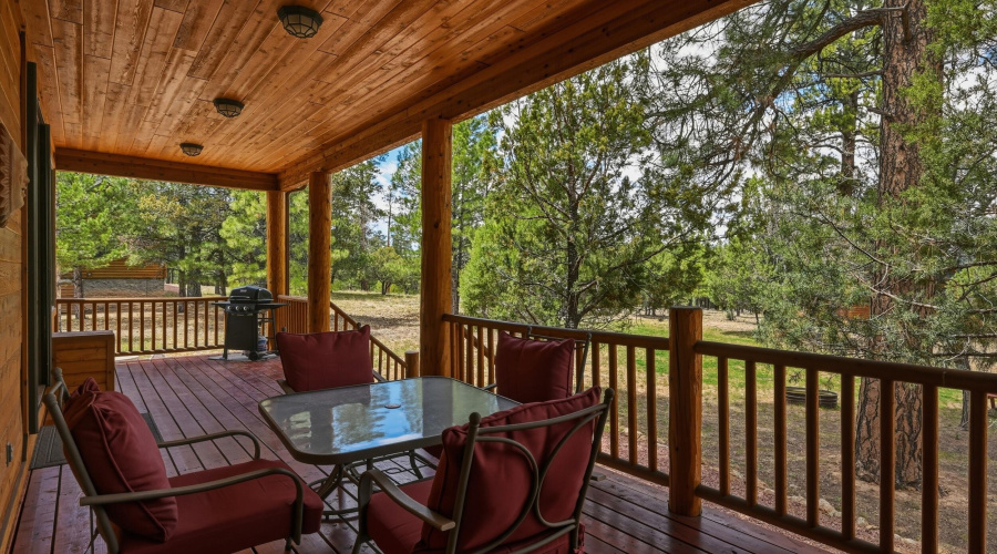 31 Back deck