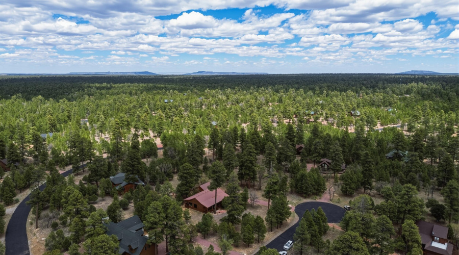 49_dji_0919
