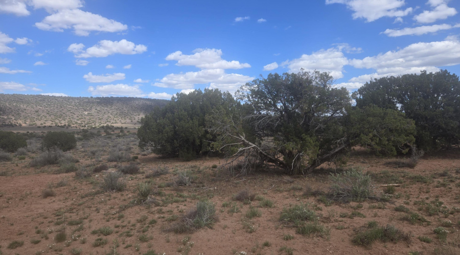 Open Spaces