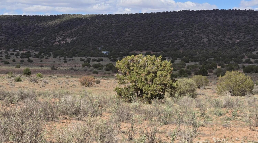 Terrain Features