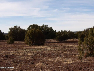 126 N3411, Vernon, Arizona 85940, ,Land,For Sale,N3411,260993
