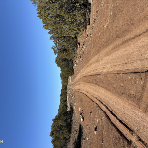 Road