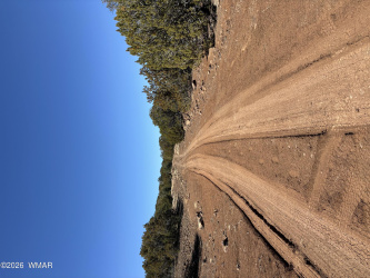 22 County Road 3048 Road, Concho, Arizona 85924, ,Land,For Sale,County Road 3048,259619