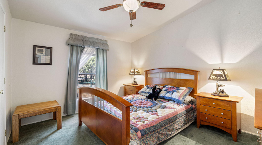2908PineRimRd-HeberOvergaard-AZ-18