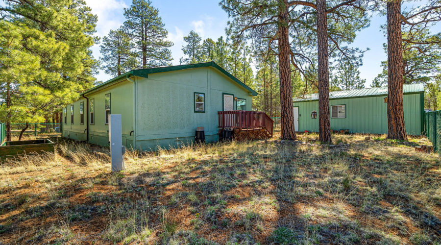 2908PineRimRd-HeberOvergaard-AZ-26