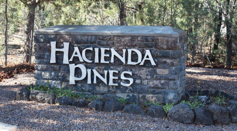 deer ln Hacienda Pines pic