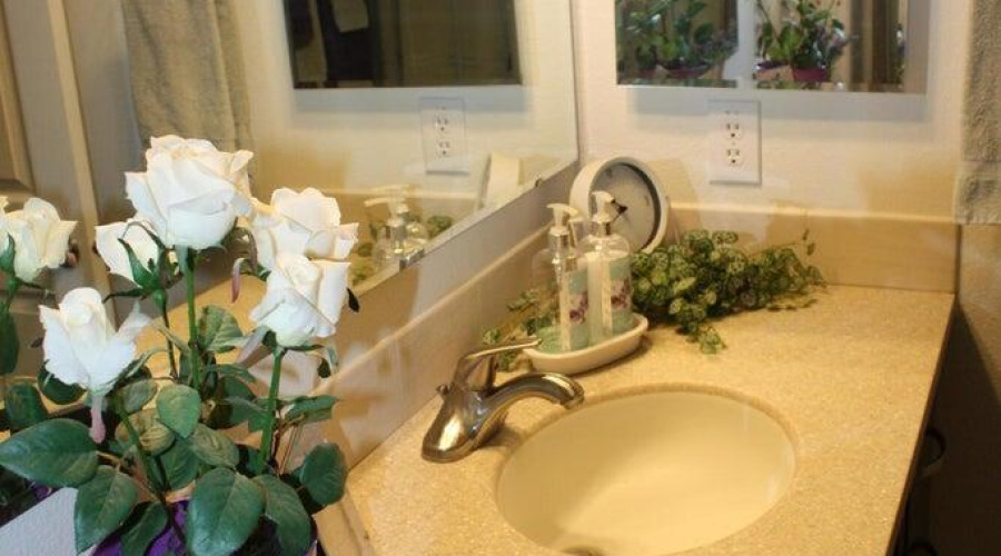 Guest bath