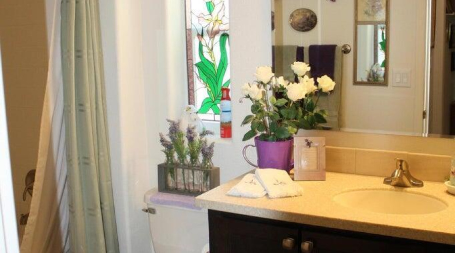 deer guest bath 1